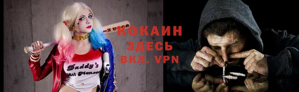дурь Богданович