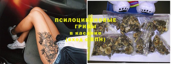 mdpv Бугульма
