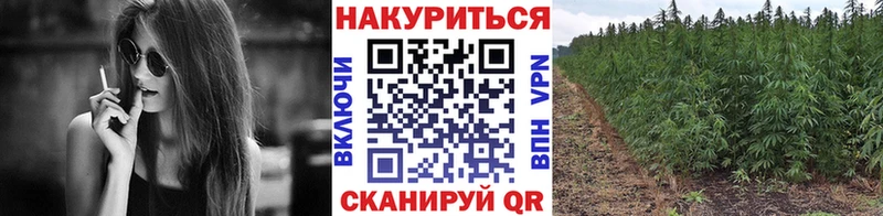 Шишки марихуана OG Kush  Новосокольники 